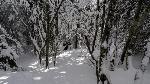 /Ski/2017/Images/2138/DSC04997Icon.jpg