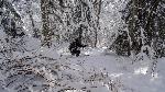 /Ski/2017/Images/2138/DSC05007Icon.jpg