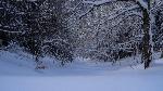 /Ski/2017/Images/2139/DSC05029Icon.jpg