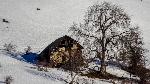 /Ski/2018/Images/2145/DSC00016Icon.jpg