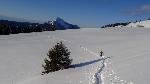 /Ski/2018/Images/2152/DSC00249Icon.jpg