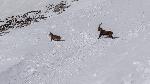 /Ski/2018/Images/2153/DSC00306Icon.jpg