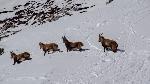 /Ski/2018/Images/2153/DSC00307Icon.jpg