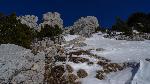 /Ski/2018/Images/2153/DSC00322Icon.jpg