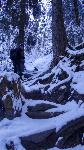 /Ski/2018/Images/2177/DSC01326Icon.jpg