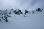 /Ski/2019/Images/2184/P1000333Icon.jpg