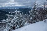 /Ski/2019/Images/2184/P1000334Icon.jpg