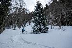 /Ski/2019/Images/2184/P1000341Icon.jpg