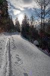 /Ski/2019/Images/2184/P1000346Icon.jpg
