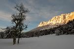 /Ski/2019/Images/2185/P1000357Icon.jpg