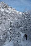/Ski/2019/Images/2185/P1000369Icon.jpg