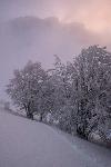 /Ski/2019/Images/2186/P1000381Icon.jpg
