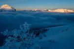 /Ski/2019/Images/2186/P1000388Icon.jpg