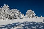 /Ski/2019/Images/2186/P1000398Icon.jpg