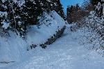 /Ski/2019/Images/2187/P1000430Icon.jpg