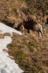 /Ski/2019/Images/2194/P1000657Icon.jpg