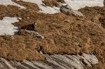 /Ski/2019/Images/2194/P1000658Icon.jpg