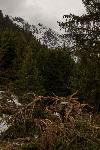 /Ski/2019/Images/2208/P1010754Icon.jpg