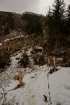 /Ski/2019/Images/2208/P1010758Icon.jpg