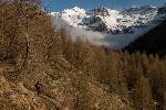 /Ski/2019/Images/2209/P1010786Icon.jpg