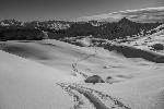 /Ski/2019/Images/2227/P1030215Icon.jpg