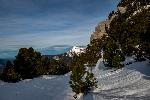 /Ski/2019/Images/2229/P1030313Icon.jpg