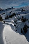 /Ski/2019/Images/2229/P1030314Icon.jpg