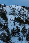 /Ski/2019/Images/2231/P1030406Icon.jpg