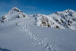/Ski/2019/Images/2232/P1030466Icon.jpg