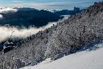 /Ski/2020/Images/2238/P1030723Icon.jpg