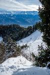 /Ski/2020/Images/2239/P1030782Icon.jpg