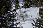 /Ski/2020/Images/2242/P1040004Icon.jpg