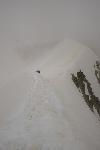 /Ski/2020/Images/2257/P1040644Icon.jpg