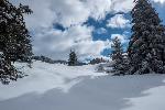/Ski/2020/Images/2260/P1040865Icon.jpg
