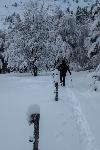 /Ski/2020/Images/2262/P1050148Icon.jpg