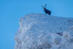 /Ski/2020/Images/2262/P1050182Icon.jpg