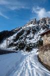 /Ski/2020/Images/2264/P1050196Icon.jpg