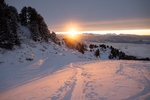 /Ski/2020/Images/2489/P1050126Icon.jpg