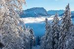 /Ski/2021/Images/2274/P1050339Icon.jpg