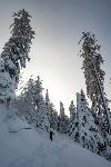 /Ski/2021/Images/2274/P1050347Icon.jpg