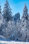 /Ski/2021/Images/2274/P1050353Icon.jpg