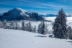 /Ski/2021/Images/2274/P1050357Icon.jpg