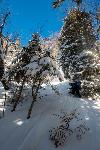 /Ski/2021/Images/2277/P1050395Icon.jpg