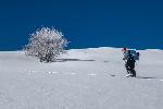/Ski/2021/Images/2277/P1050400Icon.jpg