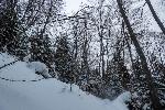 /Ski/2021/Images/2278/P1050434Icon.jpg