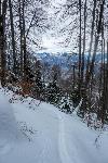/Ski/2021/Images/2278/P1050435Icon.jpg