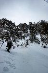 /Ski/2021/Images/2278/P1050437Icon.jpg