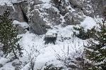 /Ski/2021/Images/2278/P1050438Icon.jpg