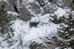 /Ski/2021/Images/2278/P1050440Icon.jpg
