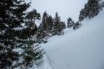 /Ski/2021/Images/2278/P1050448Icon.jpg